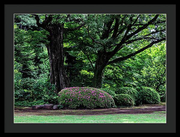 Gardens of Tokyo - Framed Print