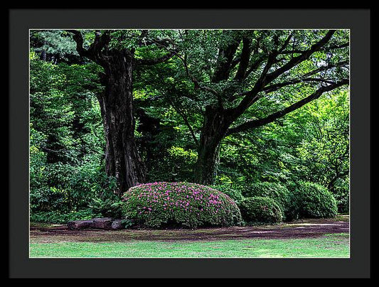 Gardens of Tokyo - Framed Print