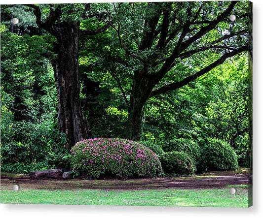 Gardens of Tokyo - Acrylic Print