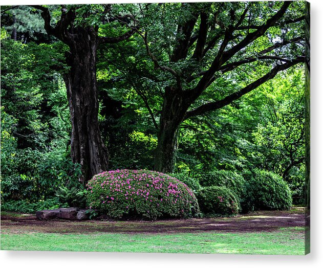 Gardens of Tokyo - Acrylic Print