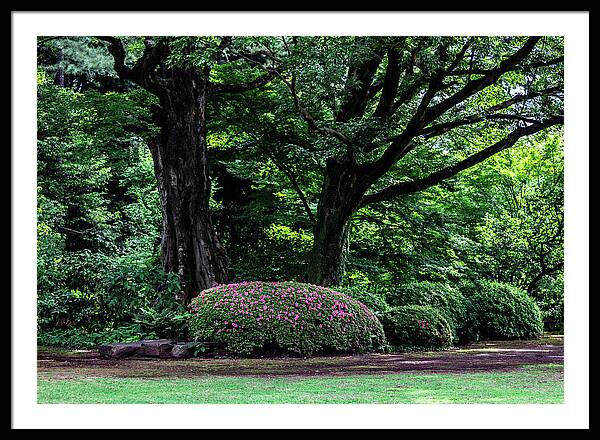 Gardens of Tokyo - Framed Print