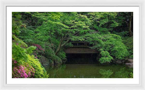 Gardens of Tokyo V - Framed Print