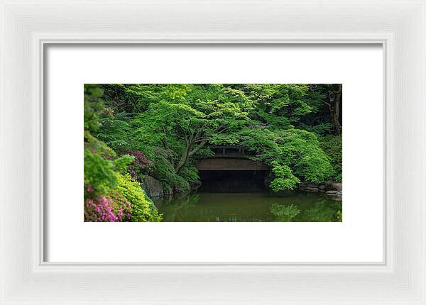 Gardens of Tokyo V - Framed Print