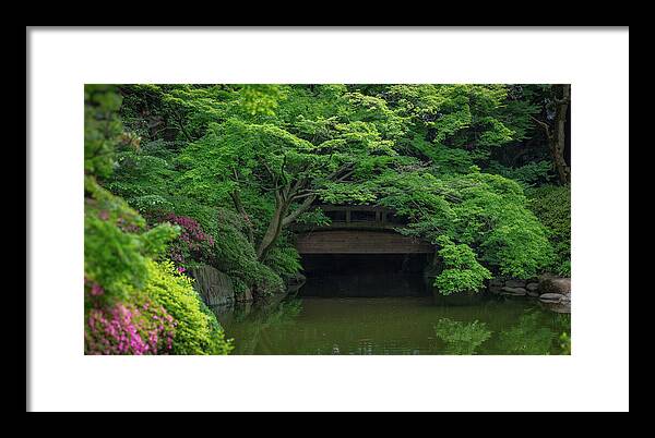 Gardens of Tokyo V - Framed Print