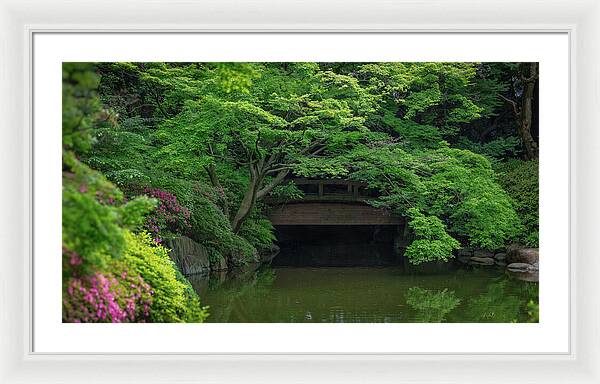 Gardens of Tokyo V - Framed Print
