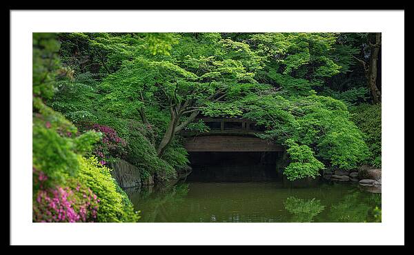 Gardens of Tokyo V - Framed Print
