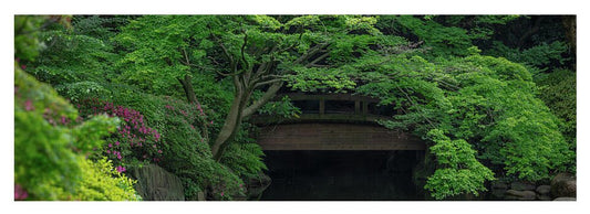 Gardens of Tokyo V - Yoga Mat