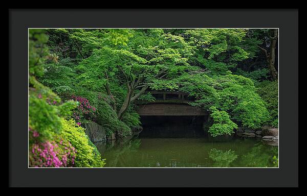 Gardens of Tokyo V - Framed Print