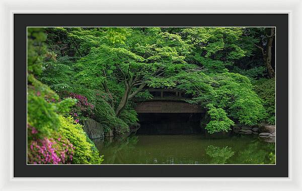 Gardens of Tokyo V - Framed Print