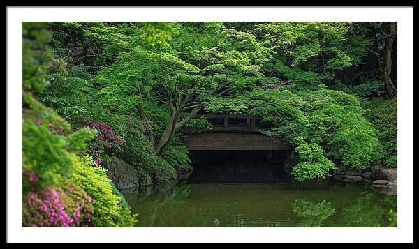 Gardens of Tokyo V - Framed Print