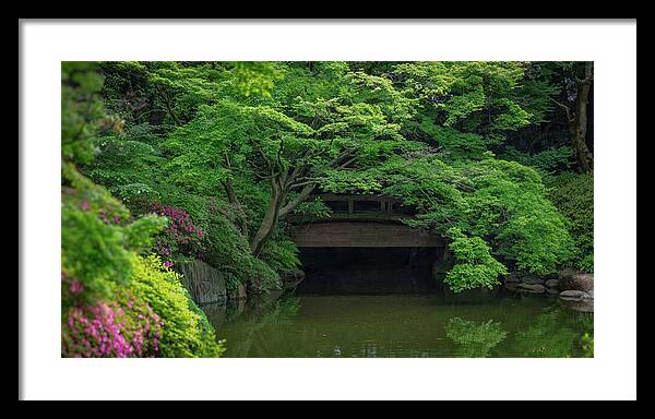 Gardens of Tokyo V - Framed Print