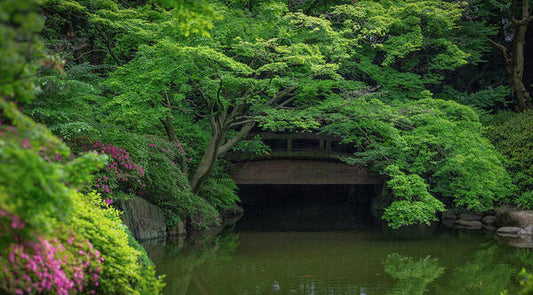 Gardens of Tokyo V - Art Print