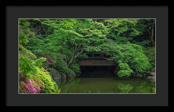 Gardens of Tokyo V - Framed Print