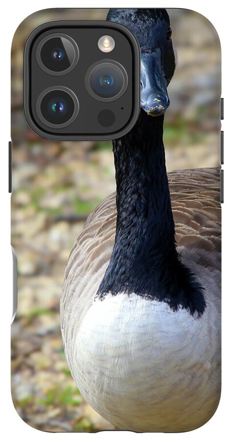Lake Rim Goose - Phone Case