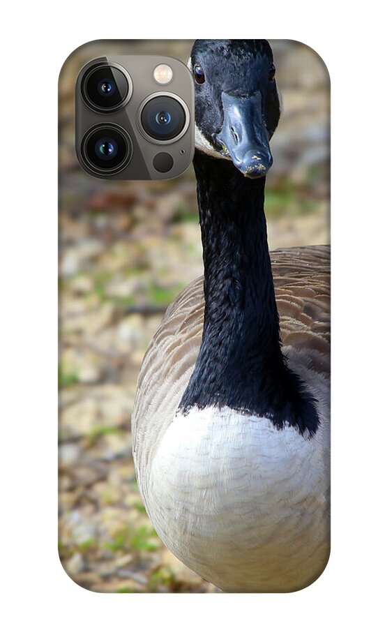 Lake Rim Goose - Phone Case