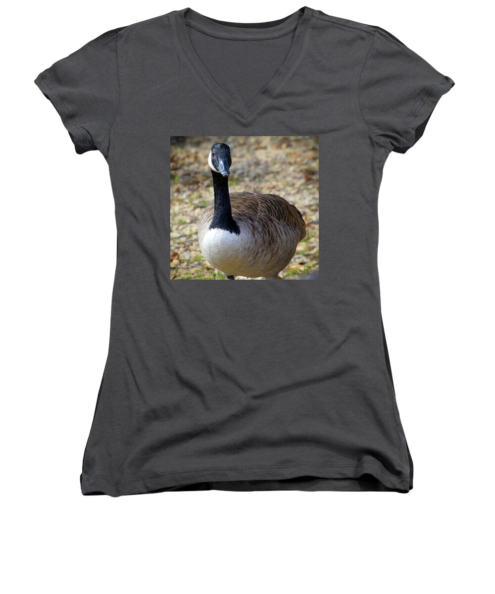 Lake Rim Goose - Women's V-Neck