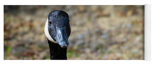 Lake Rim Goose - Yoga Mat