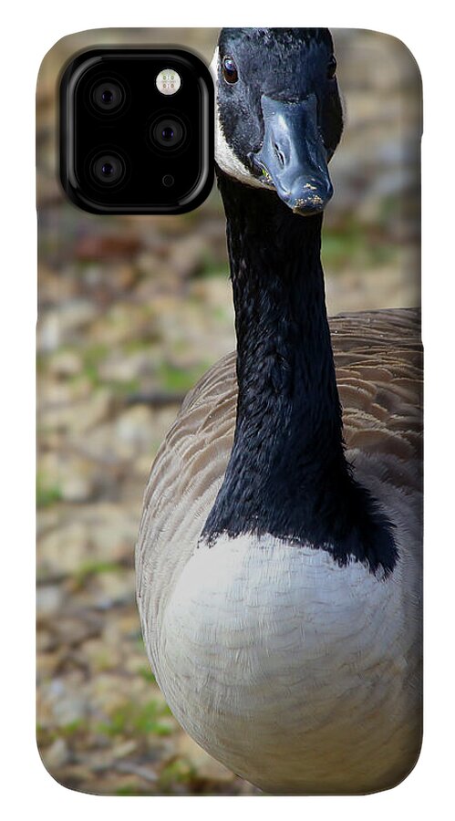 Lake Rim Goose - Phone Case