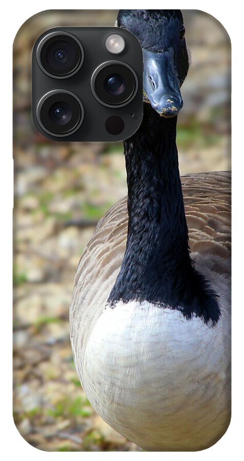 Lake Rim Goose - Phone Case