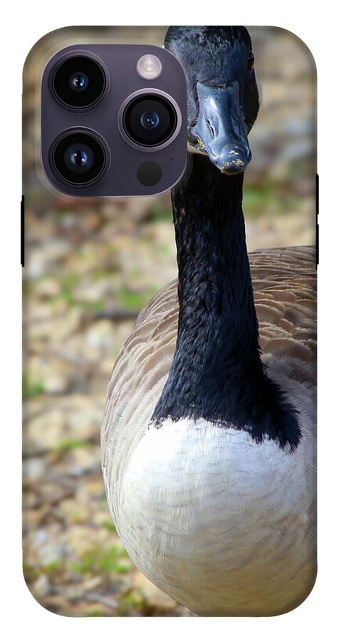 Lake Rim Goose - Phone Case