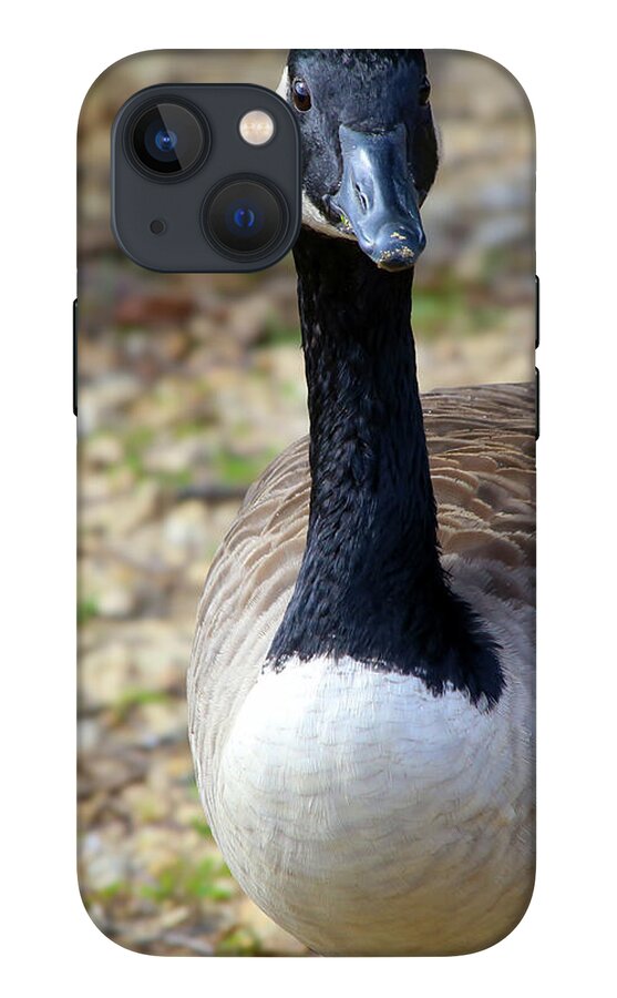 Lake Rim Goose - Phone Case