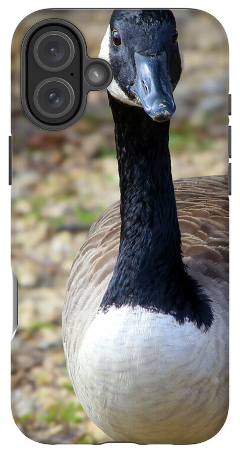 Lake Rim Goose - Phone Case