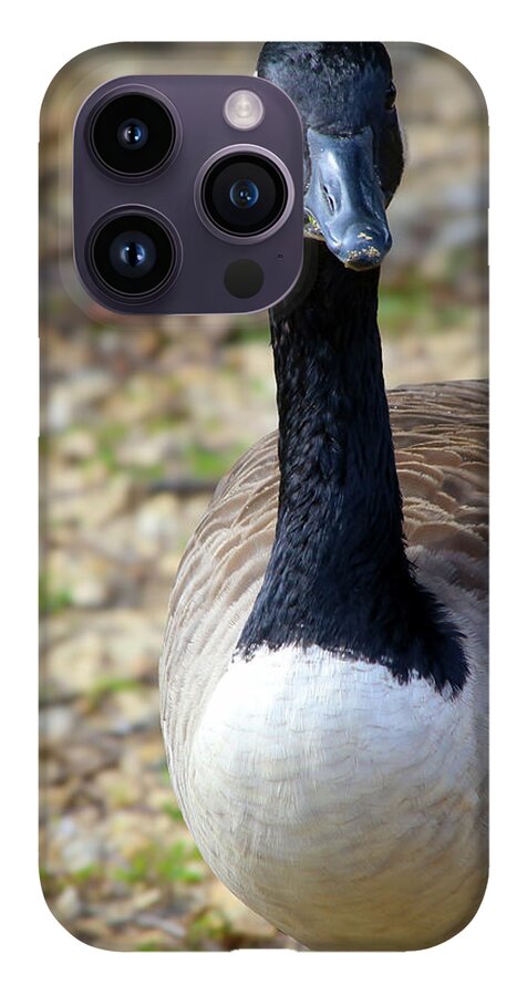 Lake Rim Goose - Phone Case