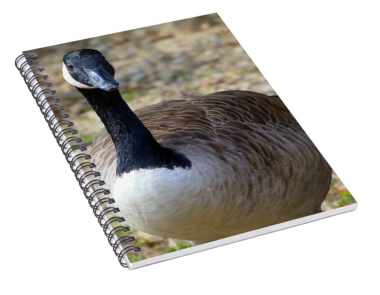 Lake Rim Goose - Spiral Notebook