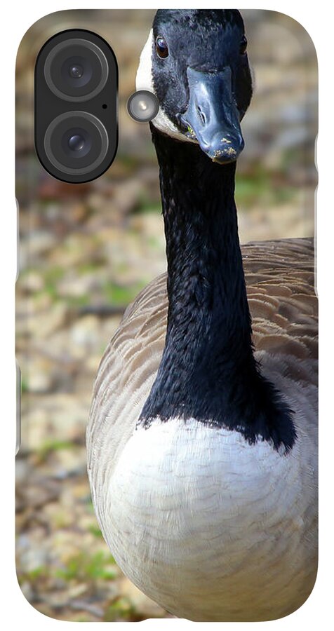 Lake Rim Goose - Phone Case