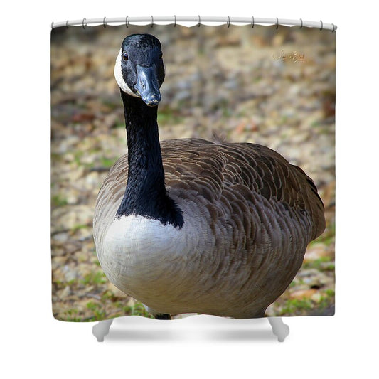 Lake Rim Goose - Shower Curtain