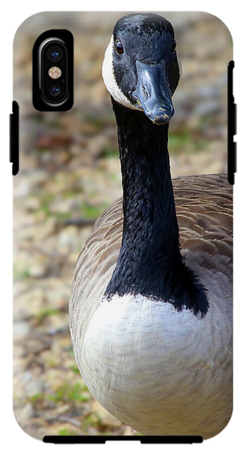 Lake Rim Goose - Phone Case