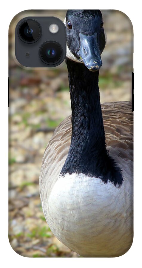 Lake Rim Goose - Phone Case