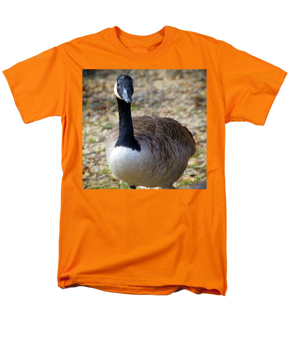 Lake Rim Goose - Men's T-Shirt  (Regular Fit)