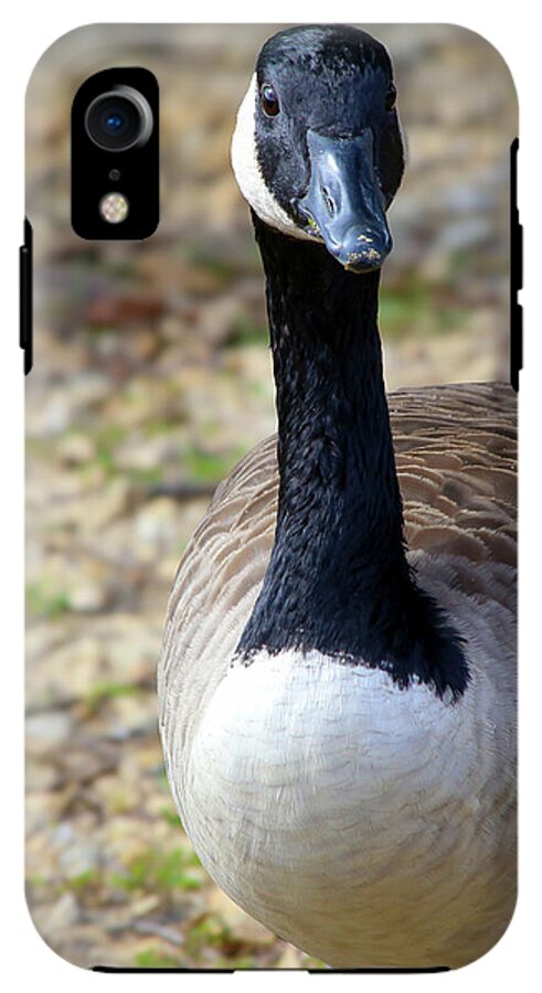 Lake Rim Goose - Phone Case