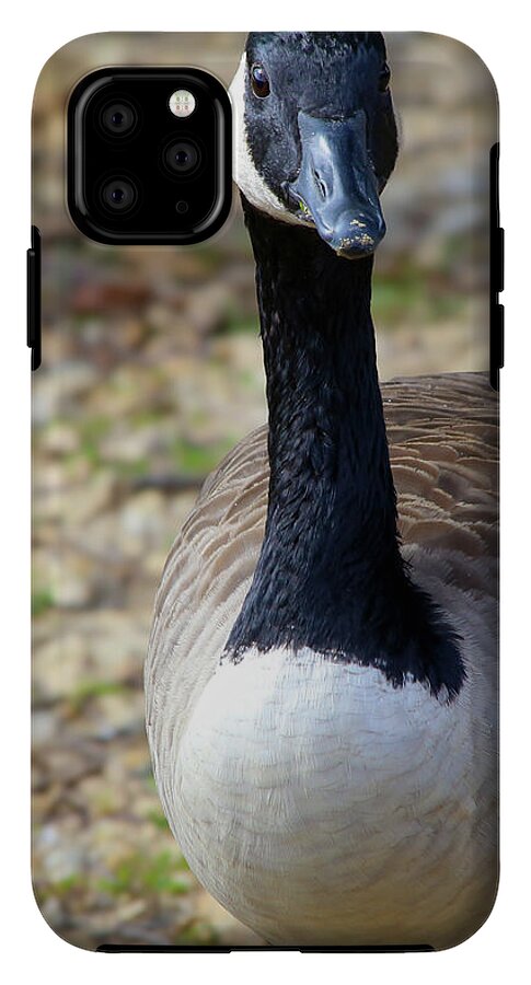 Lake Rim Goose - Phone Case
