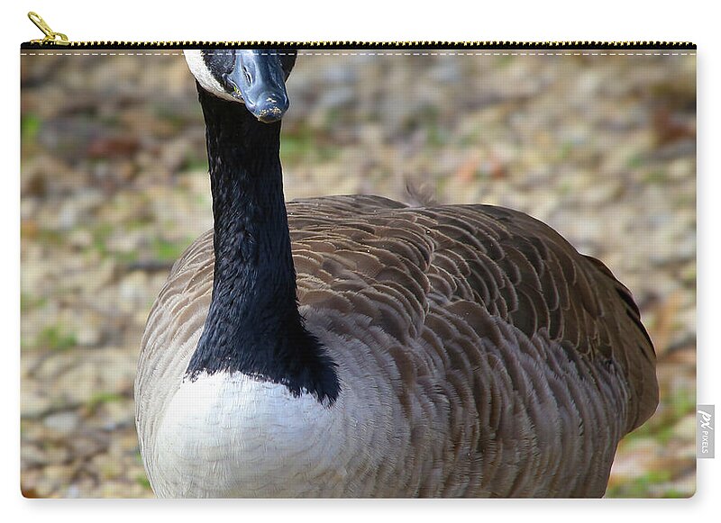 Lake Rim Goose - Zip Pouch