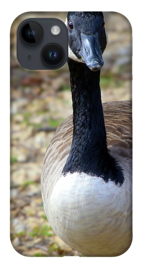 Lake Rim Goose - Phone Case