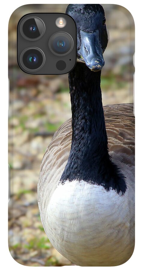 Lake Rim Goose - Phone Case