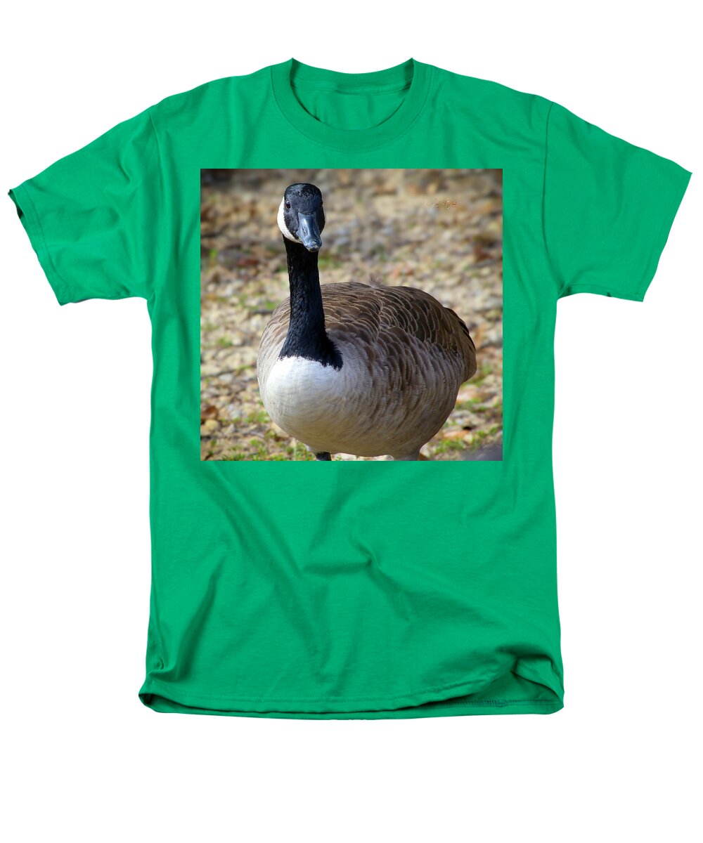 Lake Rim Goose - Men's T-Shirt  (Regular Fit)