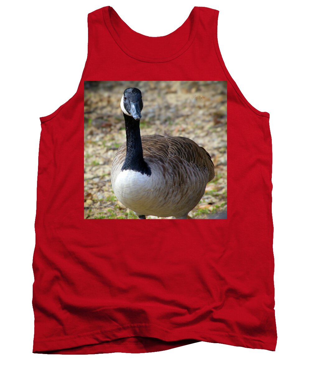 Lake Rim Goose - Tank Top