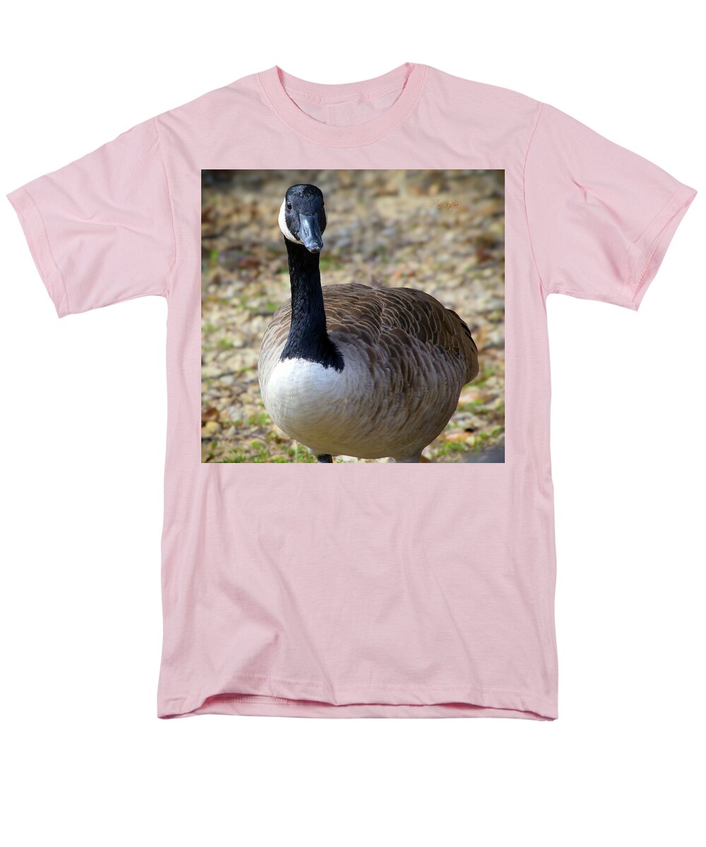 Lake Rim Goose - Men's T-Shirt  (Regular Fit)