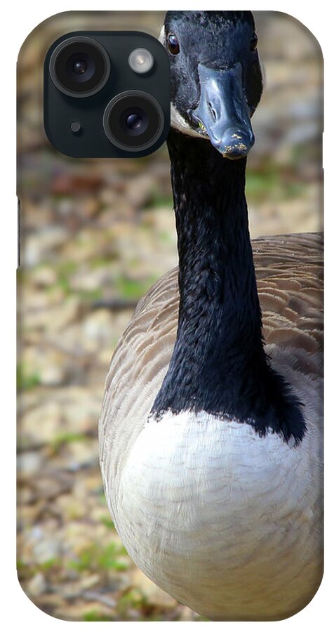 Lake Rim Goose - Phone Case