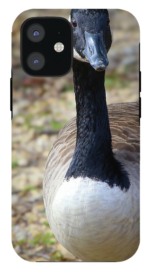 Lake Rim Goose - Phone Case
