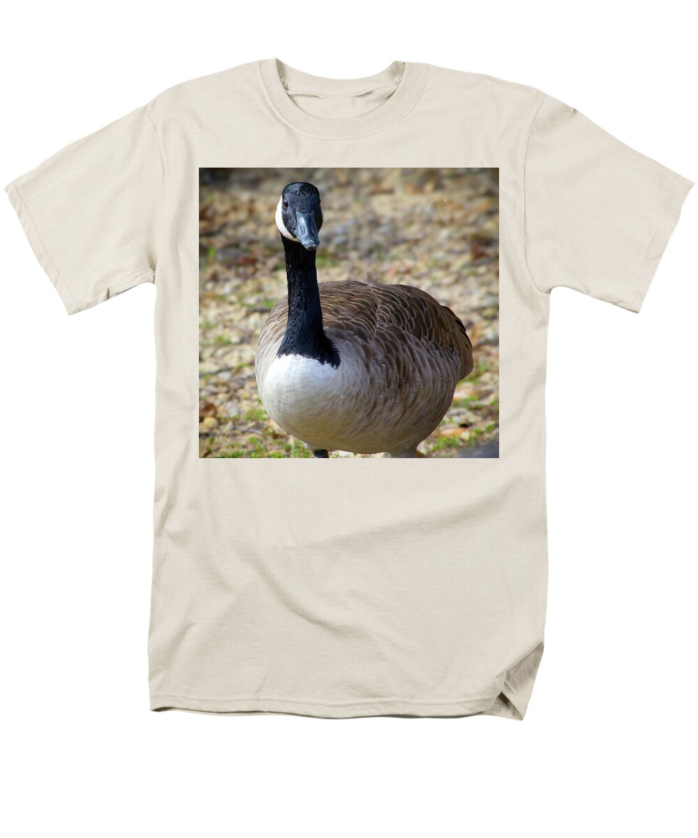 Lake Rim Goose - Men's T-Shirt  (Regular Fit)