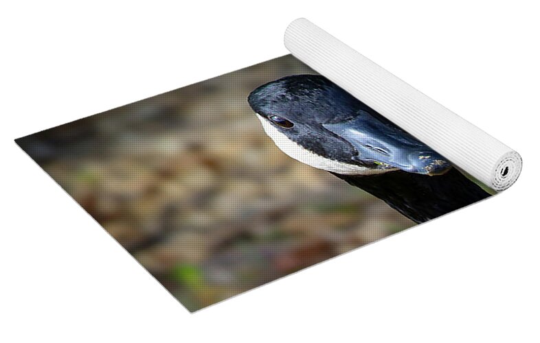 Lake Rim Goose - Yoga Mat