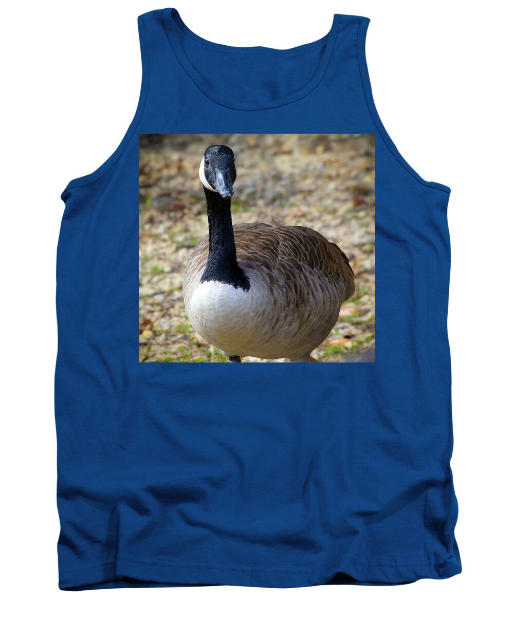 Lake Rim Goose - Tank Top