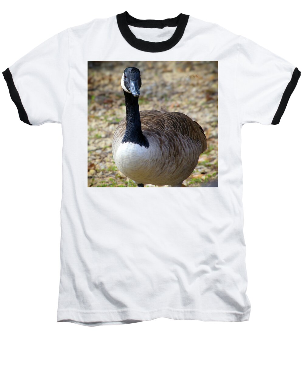 Lake Rim Goose - Baseball T-Shirt