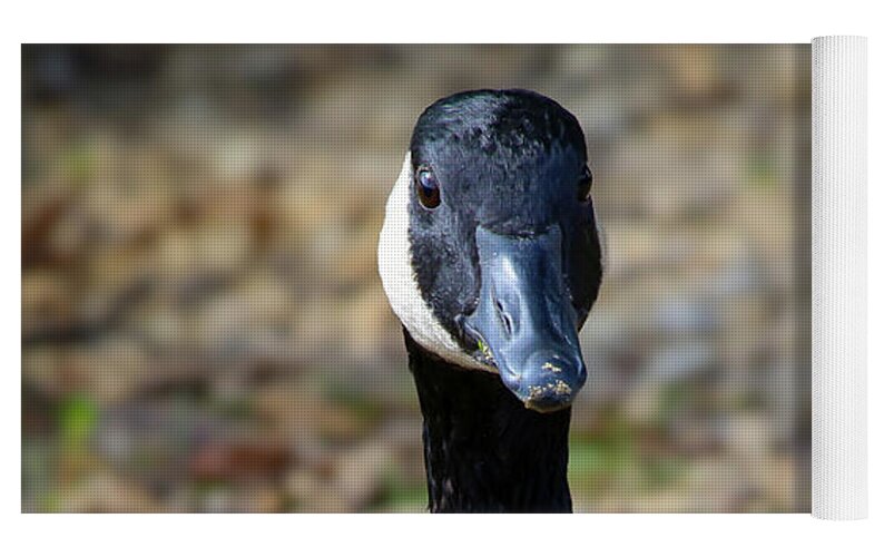 Lake Rim Goose - Yoga Mat