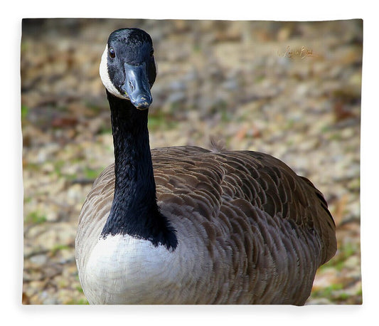 Lake Rim Goose - Blanket