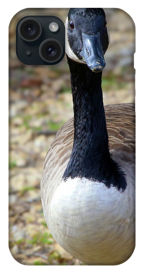 Lake Rim Goose - Phone Case